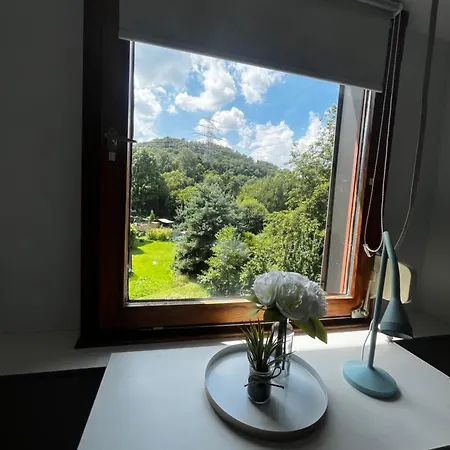 公寓 Idyllisch Wohnen An Der Ruhr *